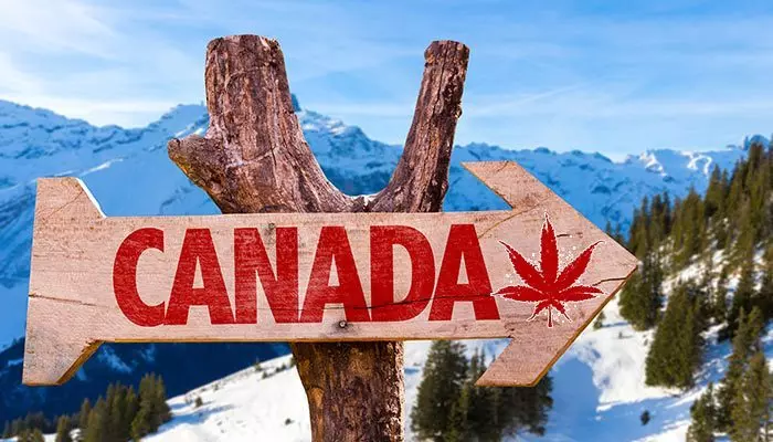 how to get weed in canada