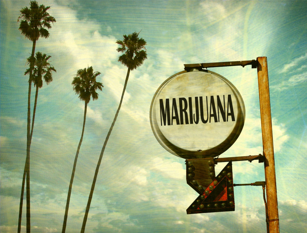 marijuana terms